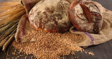 gutes_Brot_Jungborn_Blog