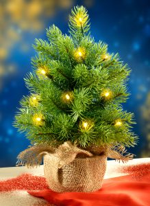 kleiner LED-Christbaum von Jungborn