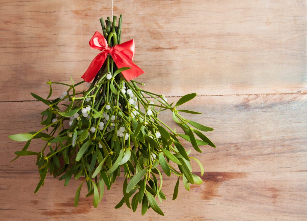 Mit Mistelzweigen dekorieren für Weihnachten