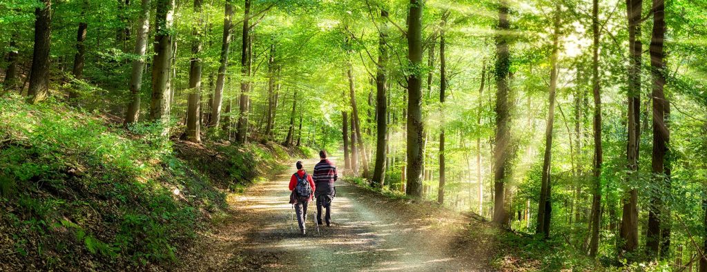 Jungborn stärkt beim Wandern