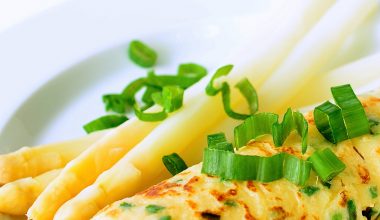 Spargel und Spargel-Omelette-Rolle auf Teller