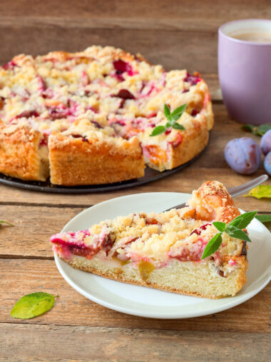 Springform mit Pflaumen-/Zwetschgenkuchen