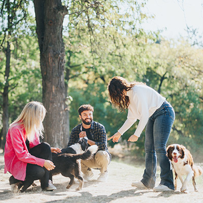 Gruppe aus Hundebesitzern unterhalten sich fröhlich