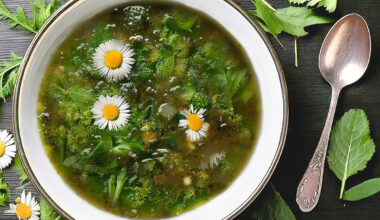 Magische 9-Kraeutersuppe