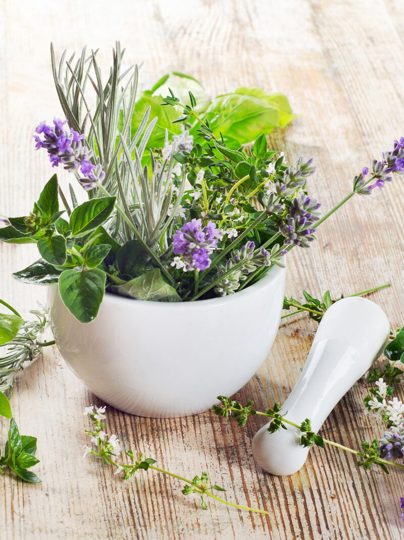 Frische Kräuter der Provence mit Mörser
