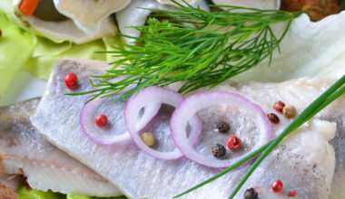 Matjes, Rollmops, Brat-Hering angerichtet auf Teller