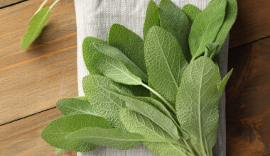 Salbei auf einer Stoffserviette auf Hoztisch