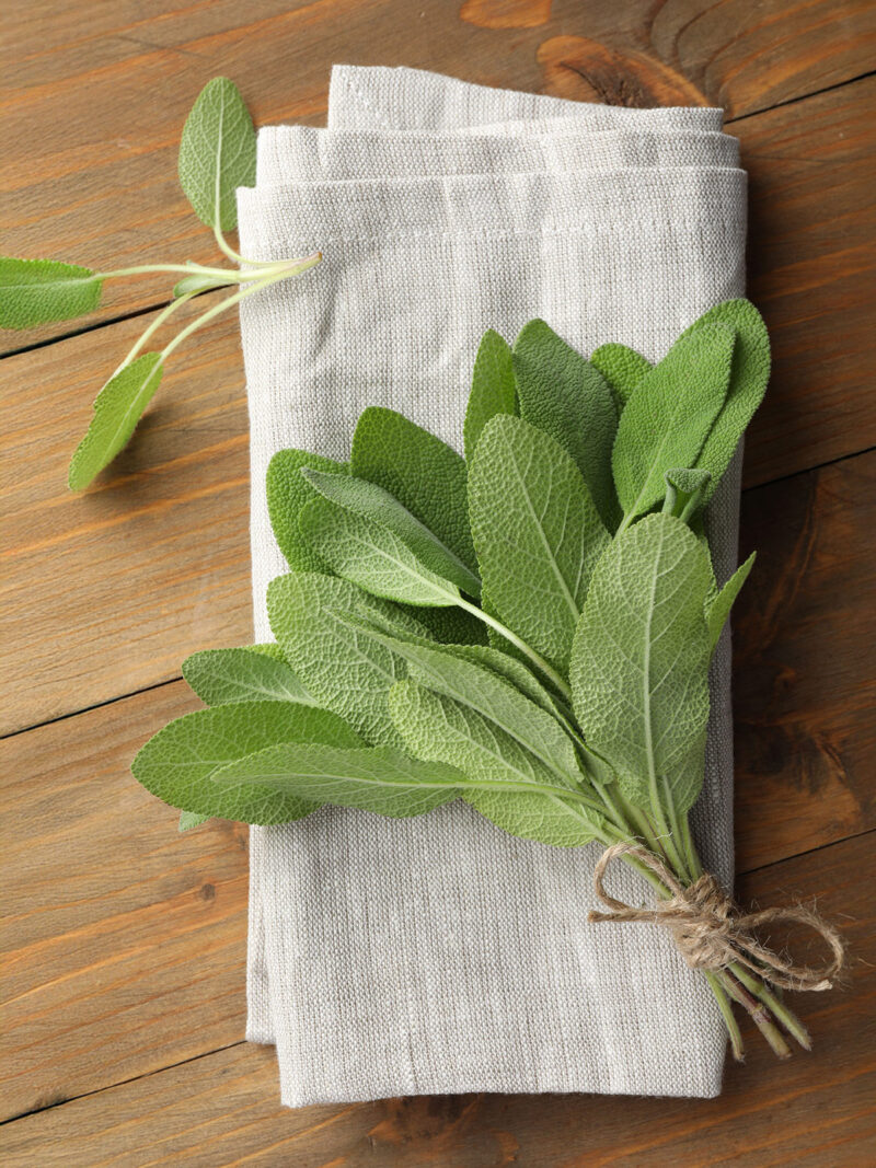 Salbei auf einer Stoffserviette auf Hoztisch