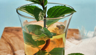 Pfefferminze im Glas als Tee