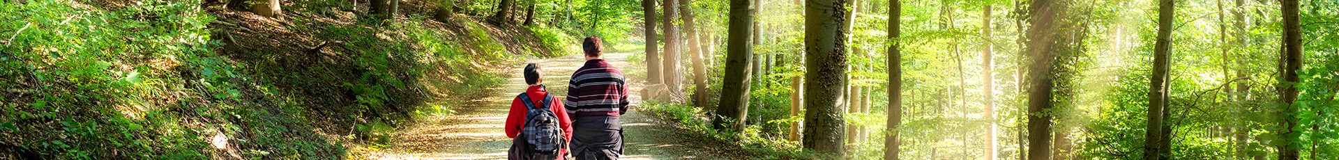 Pärchen wandert in einem grünen Wald