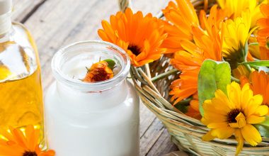 Ringelblumen im Körbchen mit Salbe