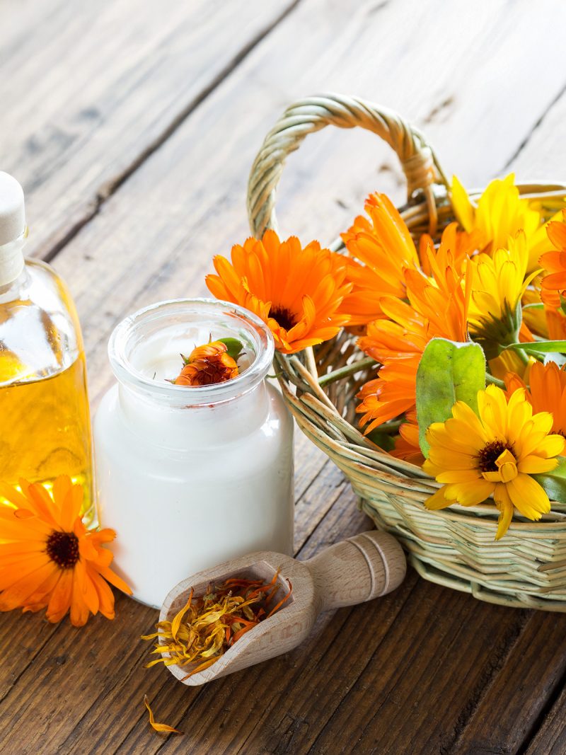 Ringelblumen im Körbchen mit Salbe