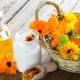 Ringelblumen im Körbchen mit Salbe