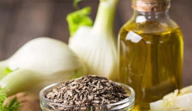 Fenchel, Öl und Samen auf einem Brettchen