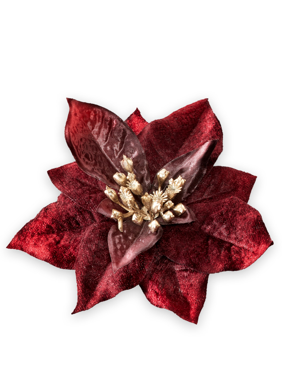Weihnachtssternblüte mit Clip, bordeaux
