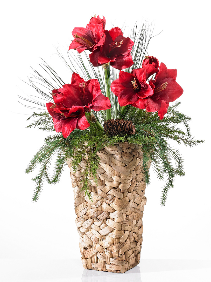 Bodenvase-Amaryllis