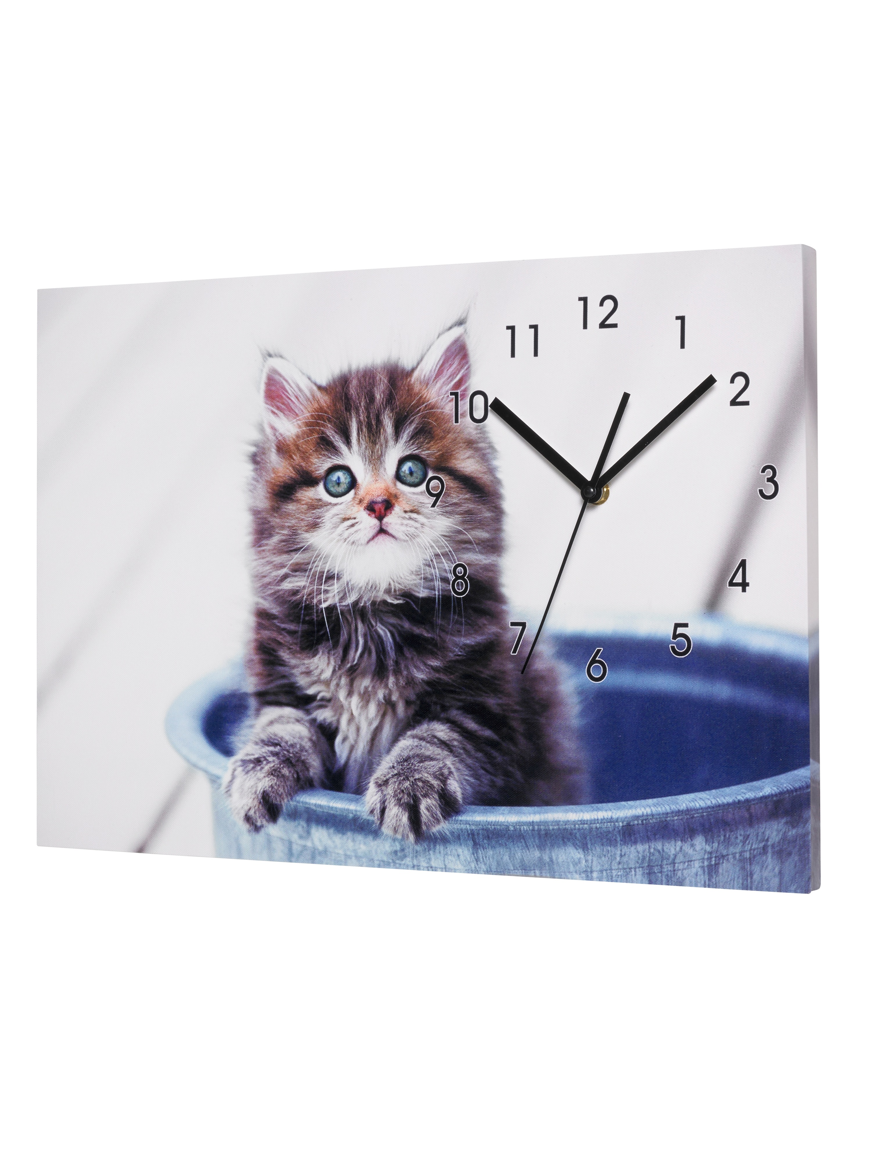 Katzenbild mit Uhr