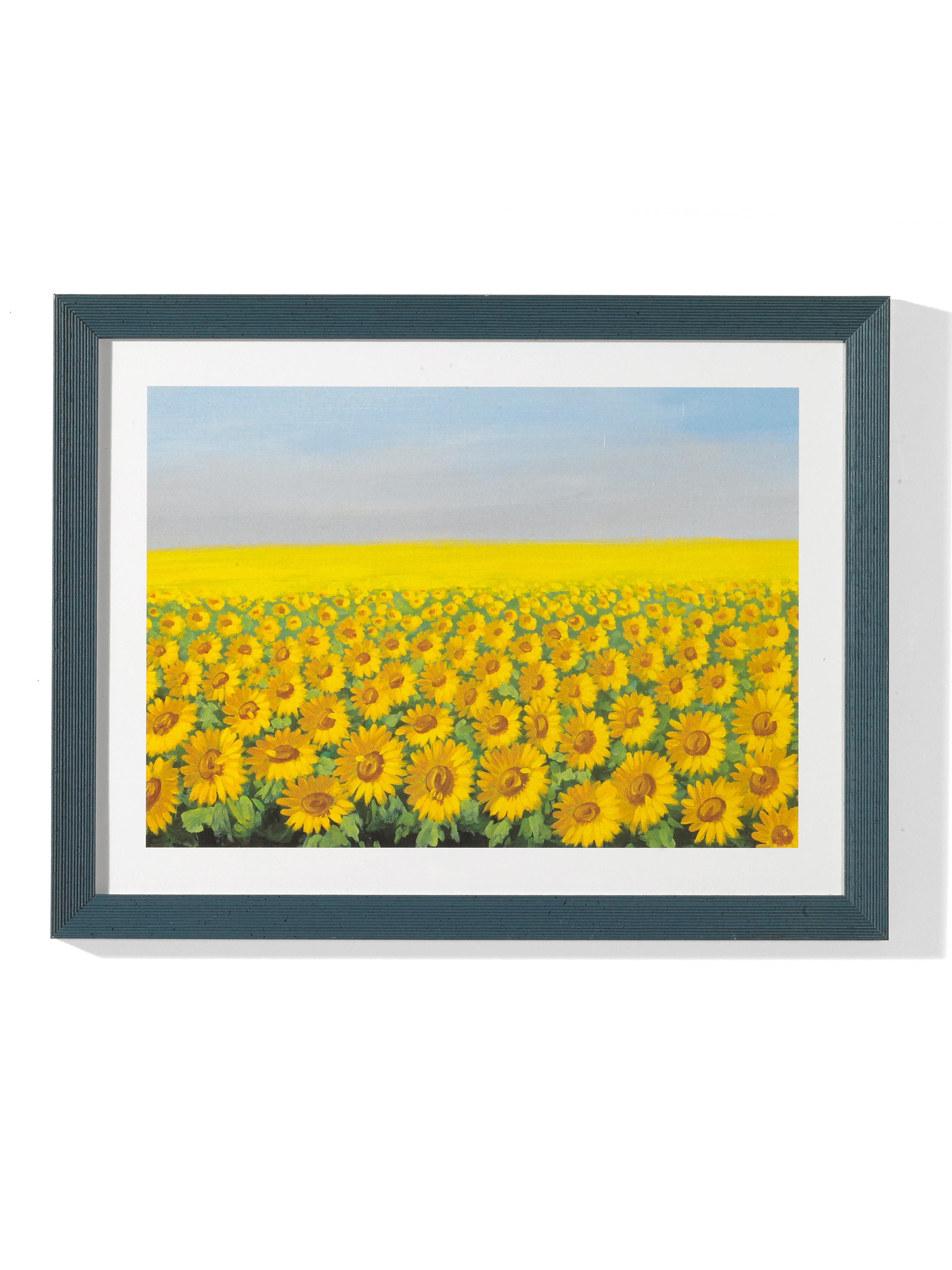 Sonnenblumen-Bild