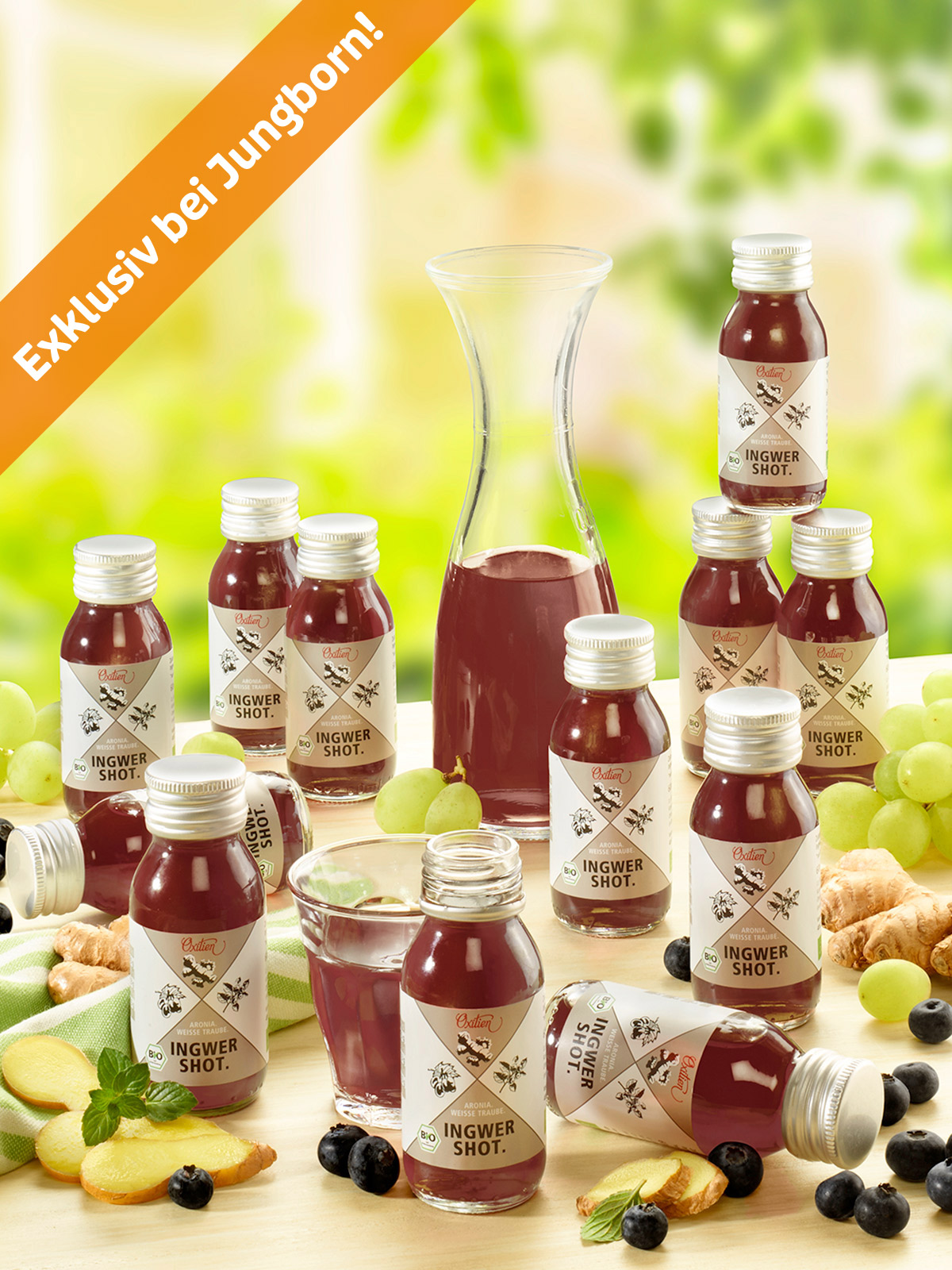 Ingwer-Aronia-Shot, Bio 12er Ingwer-Aronia-Shot, Bio 12er