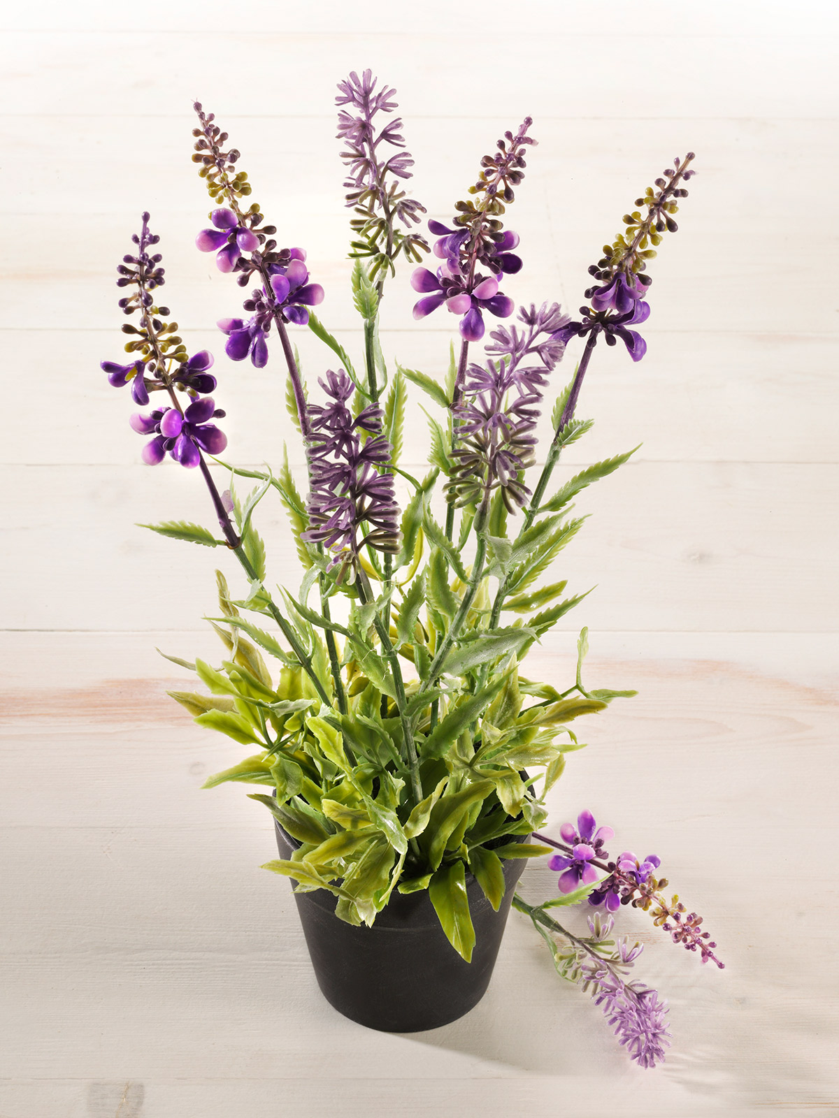 Lavendel-Topf