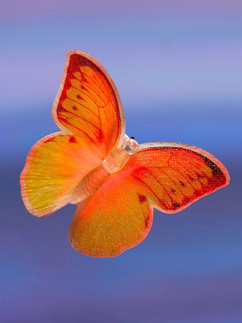 LED Schmetterlinge