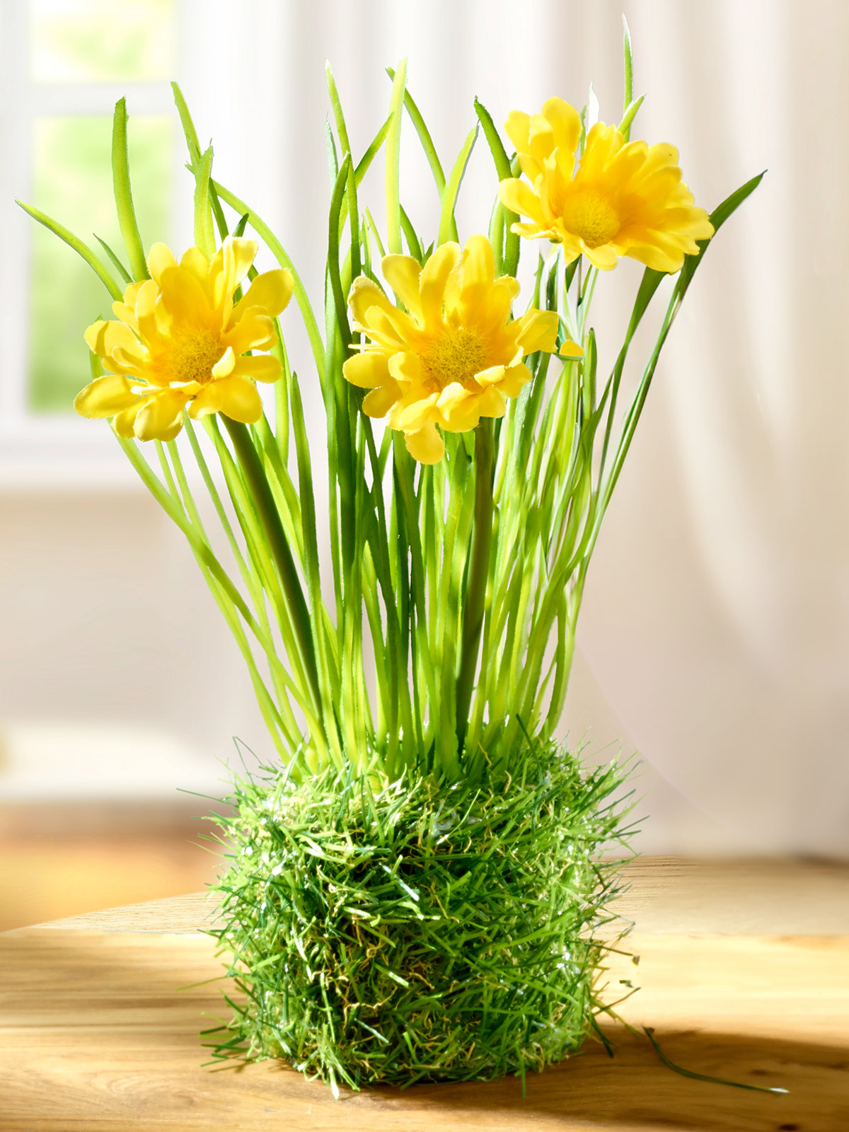Margeriten im Nest, gelb