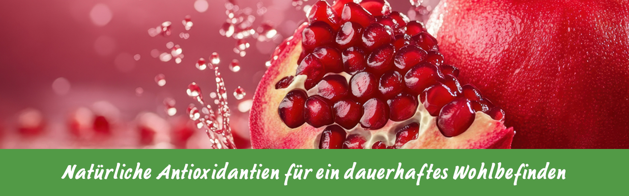 Natürliche Antioxidantien – Granatapfel für Ihr Wohlbefinden! Aufgeschnittener Granatapfel mit leuchtend roten Kernen und Wassertropfen.