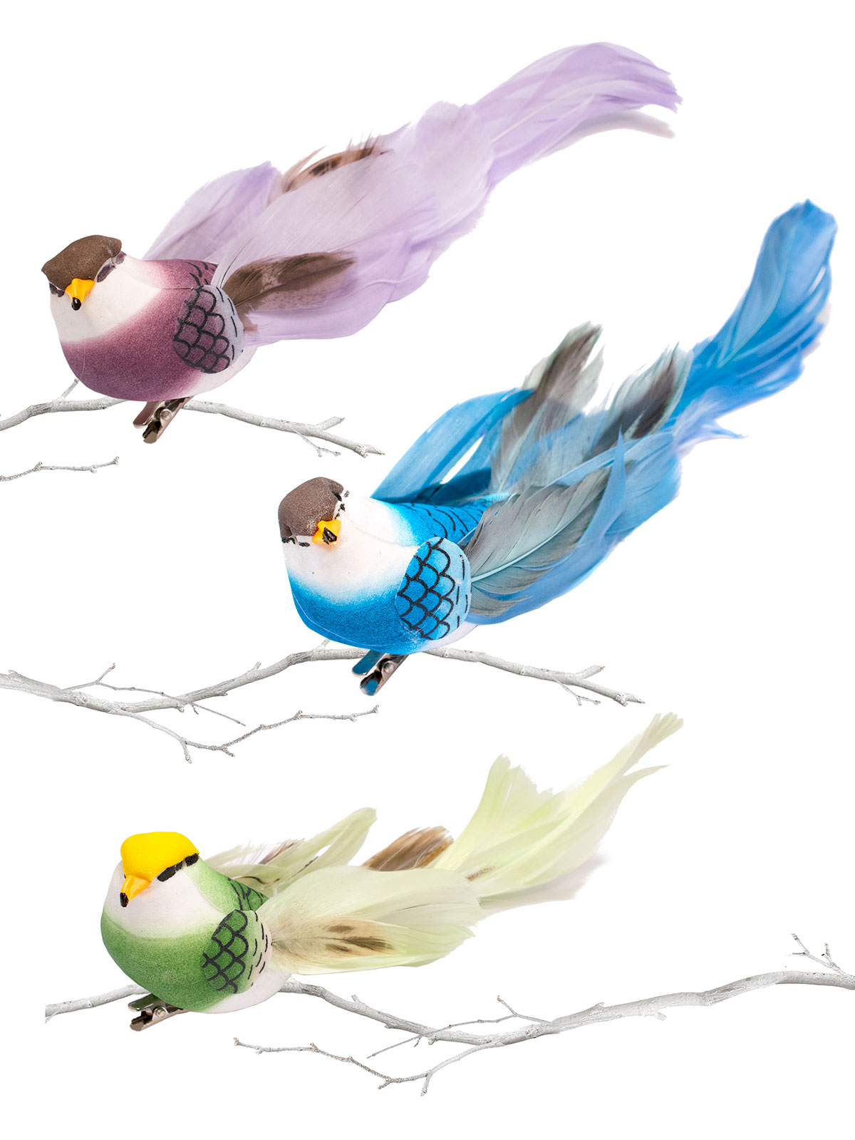 Buntes Vogel-Clip Trio