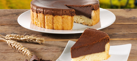 Schoko-Quark-Kuchen mit Stück auf Teller servier