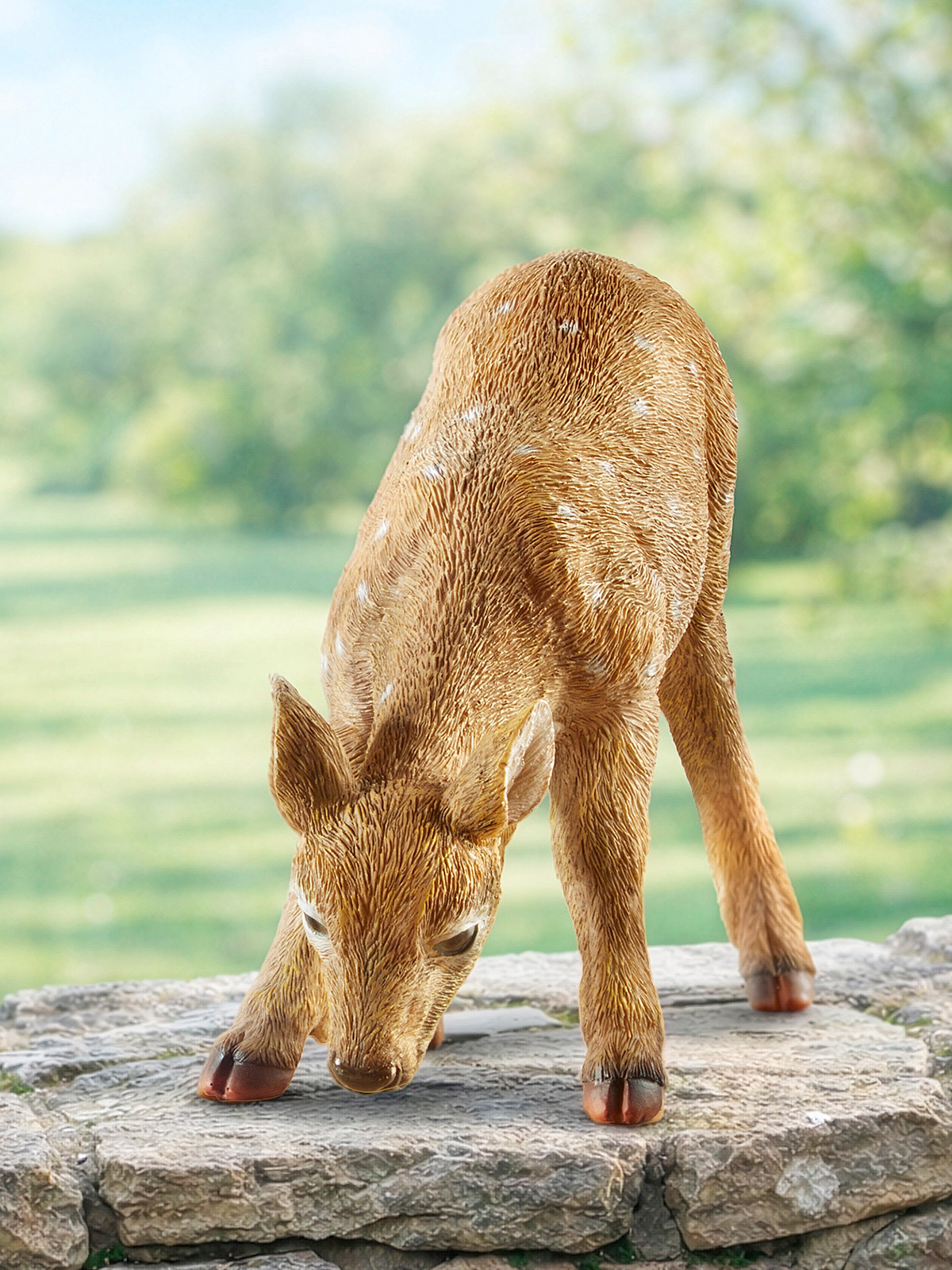 Rehkitz „Flecki“ (Kopf unten)