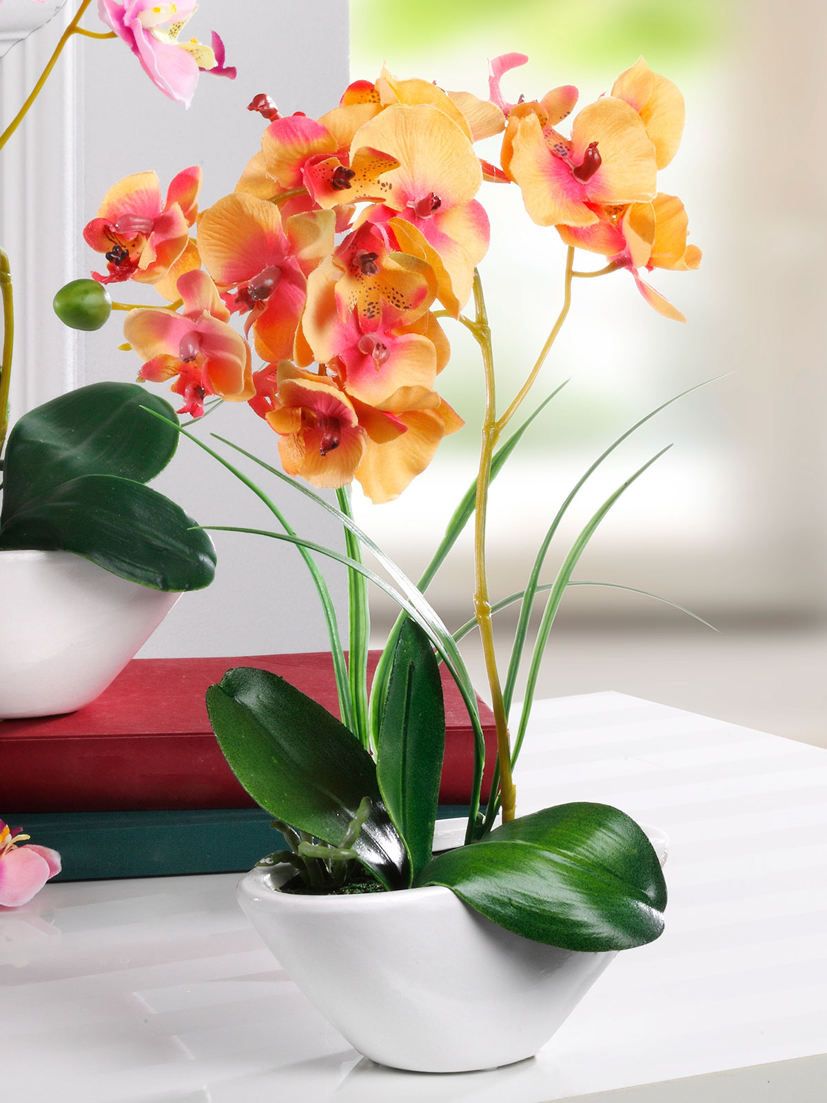 Orchidee, orange