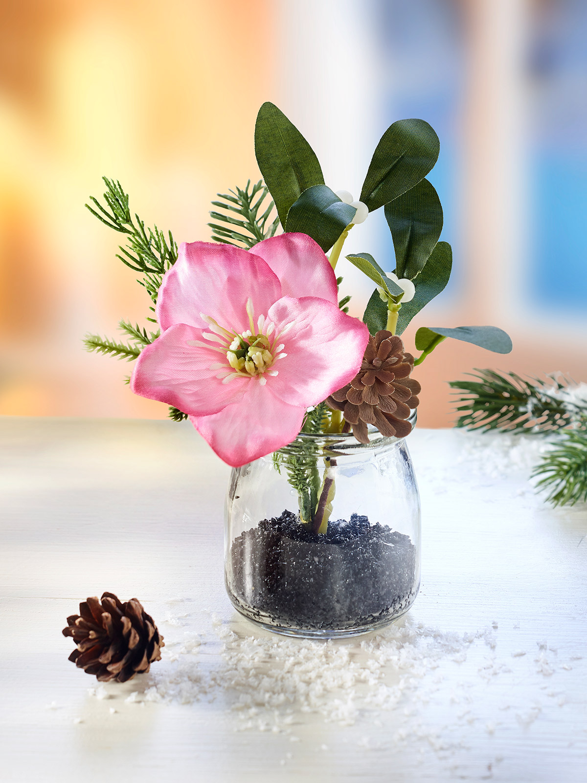 Christrose im Glas
