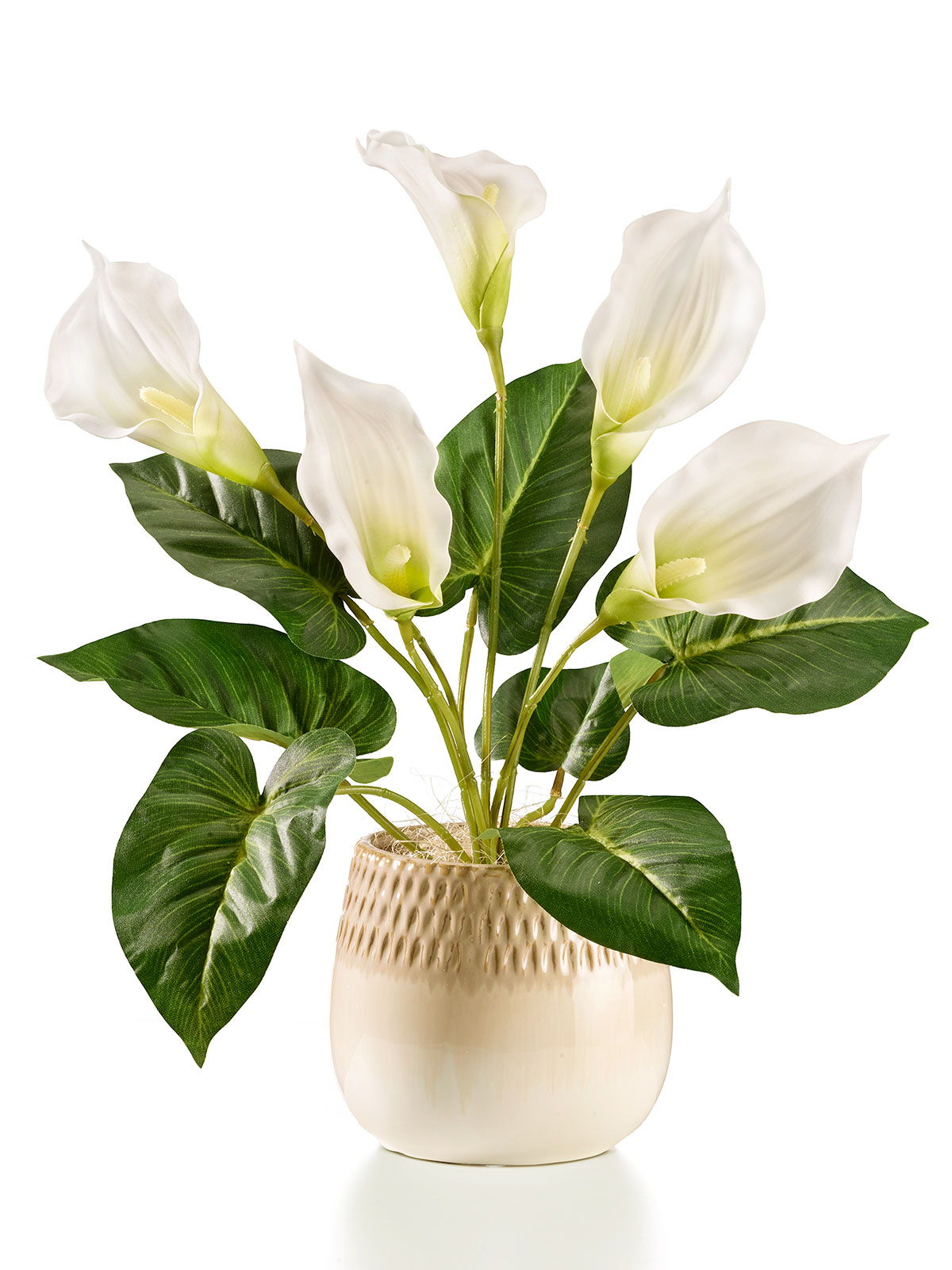Arrangement „Calla“