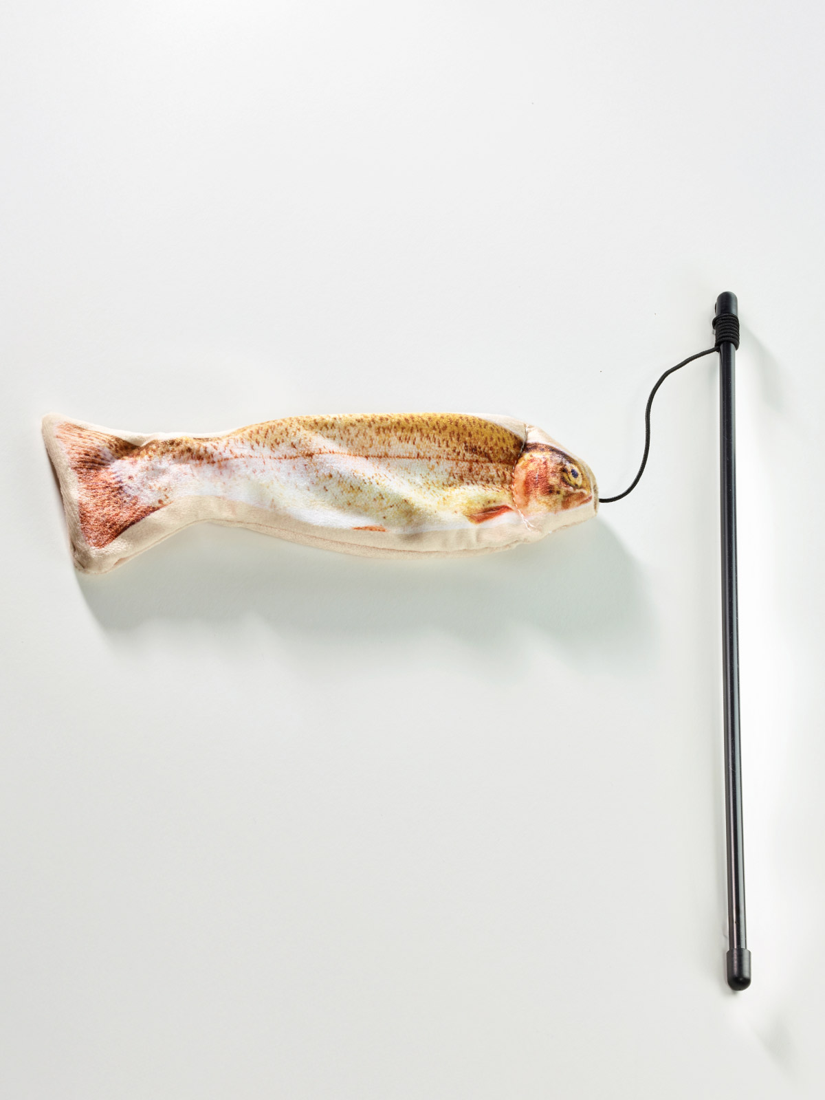 Katzenangel „Fisch“