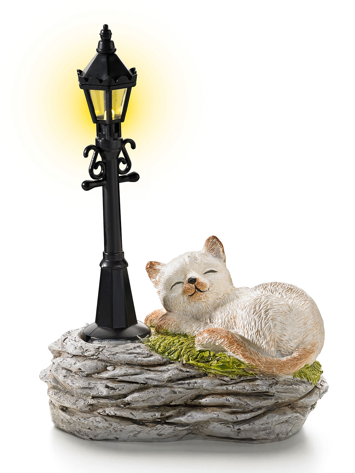 Katze an LED-Laterne