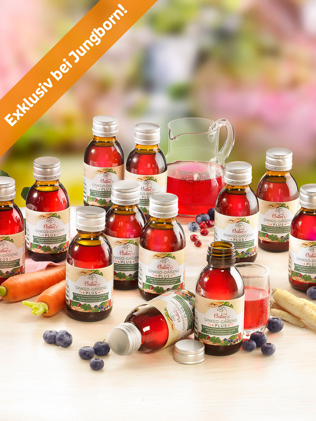 Ginkgo-Ginseng Plus, 12er