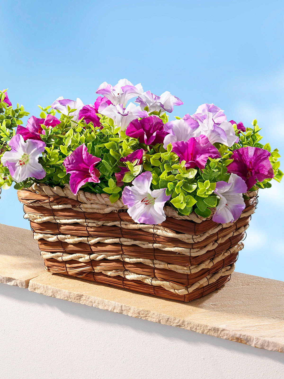 Blumenkasten „Petunie“