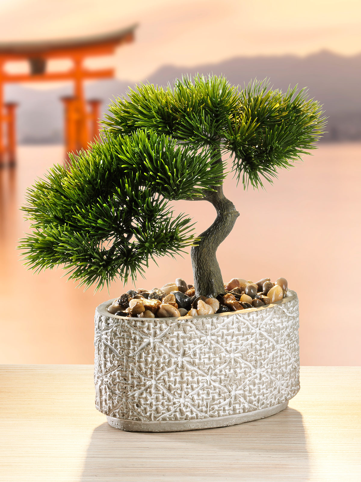 Bonsai