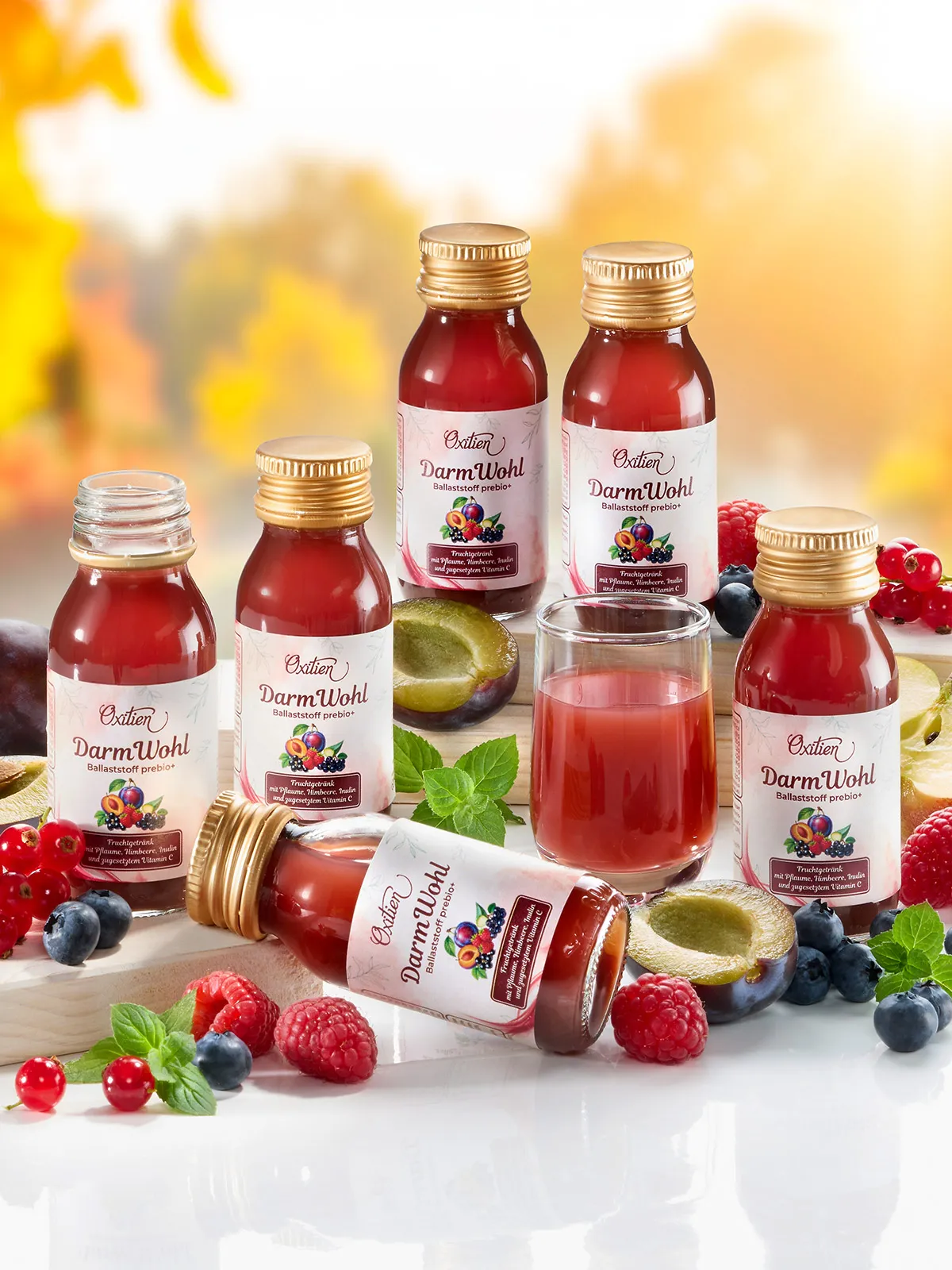 Shots „DarmWohl“, 6er