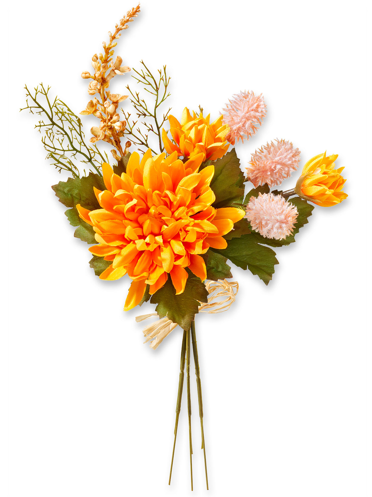 Chrysanthemen-Bund, orange