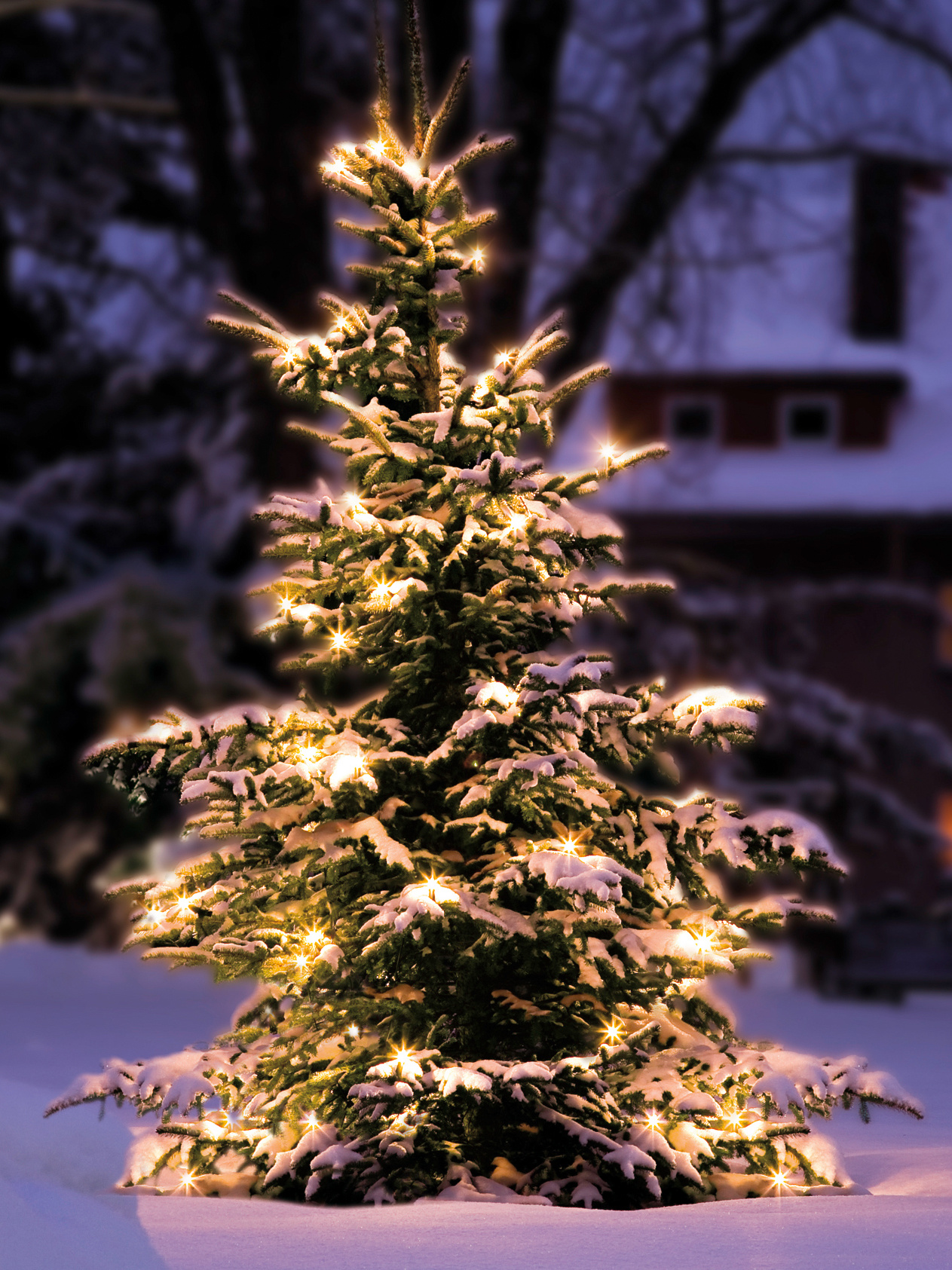 LED-Outdoor-Baumkerzen