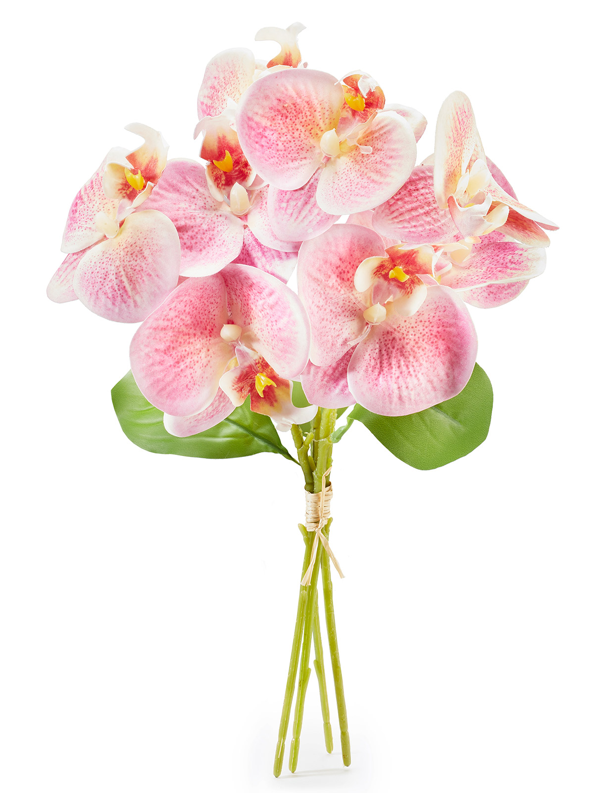 Orchideen-Bund „Rosetta“
