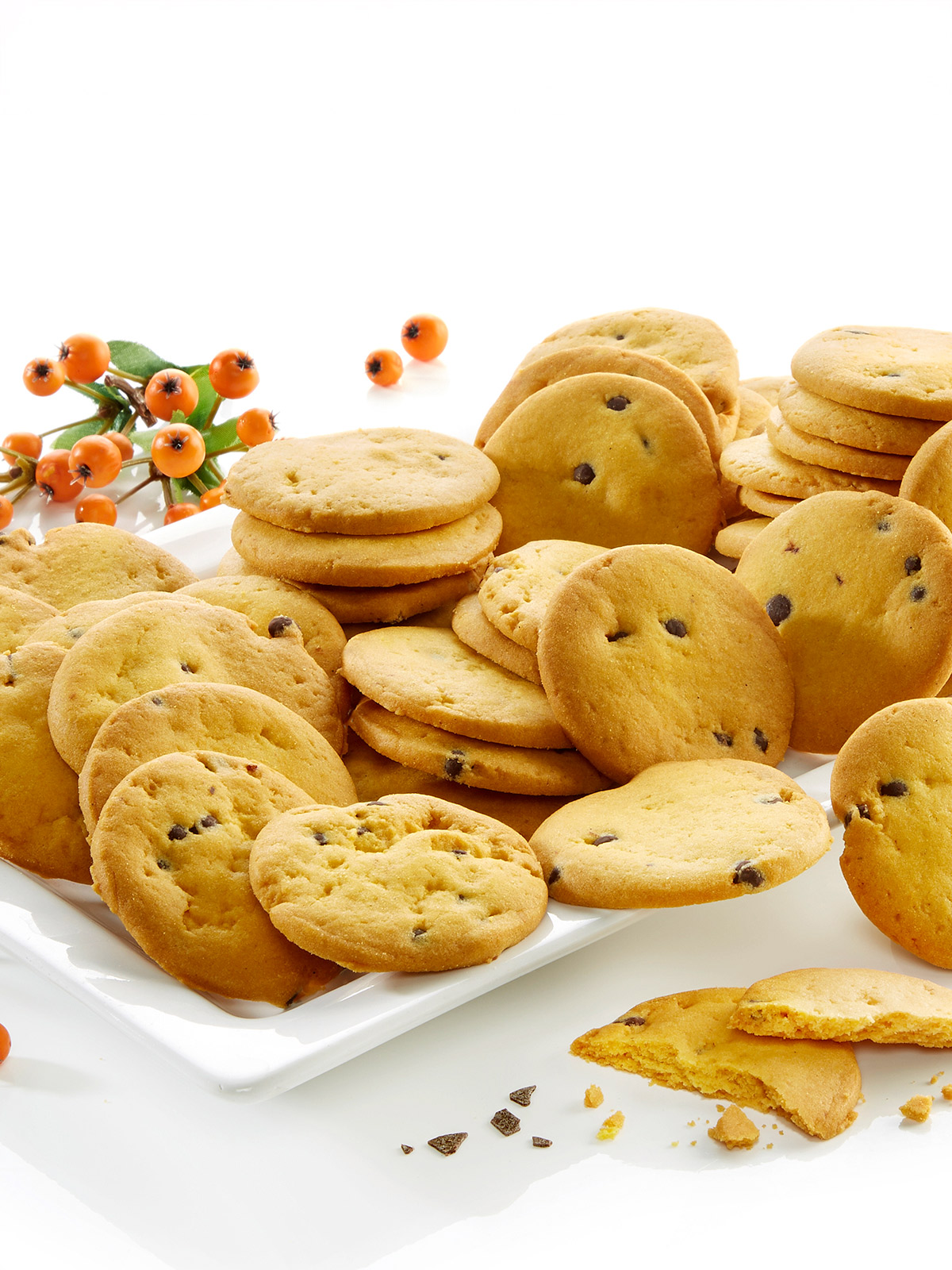 Sanddorn-Schoko-Taler