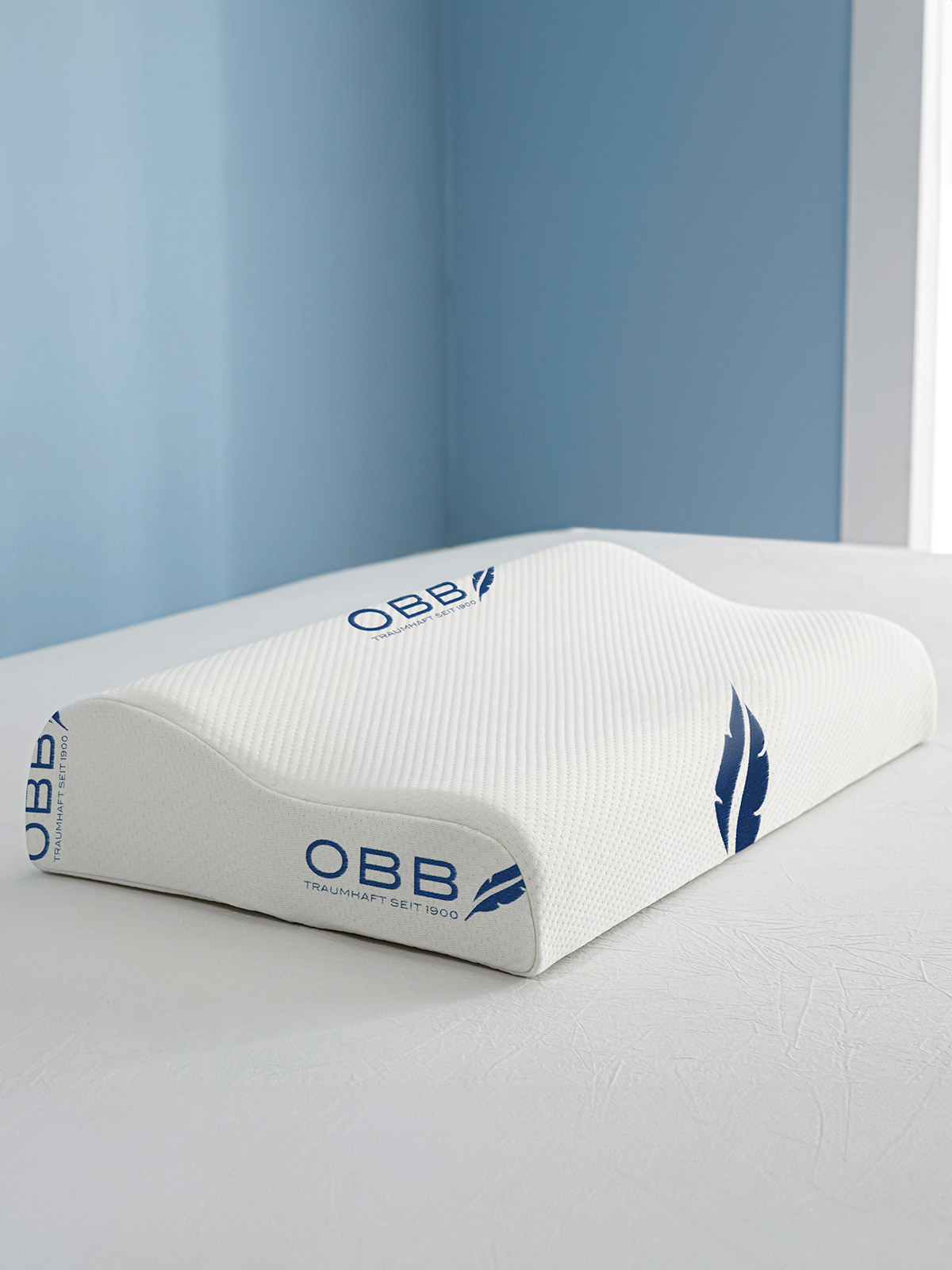 Nackenstützkissen mit Aloe Vera Nackenstützkissen mit Aloe Vera