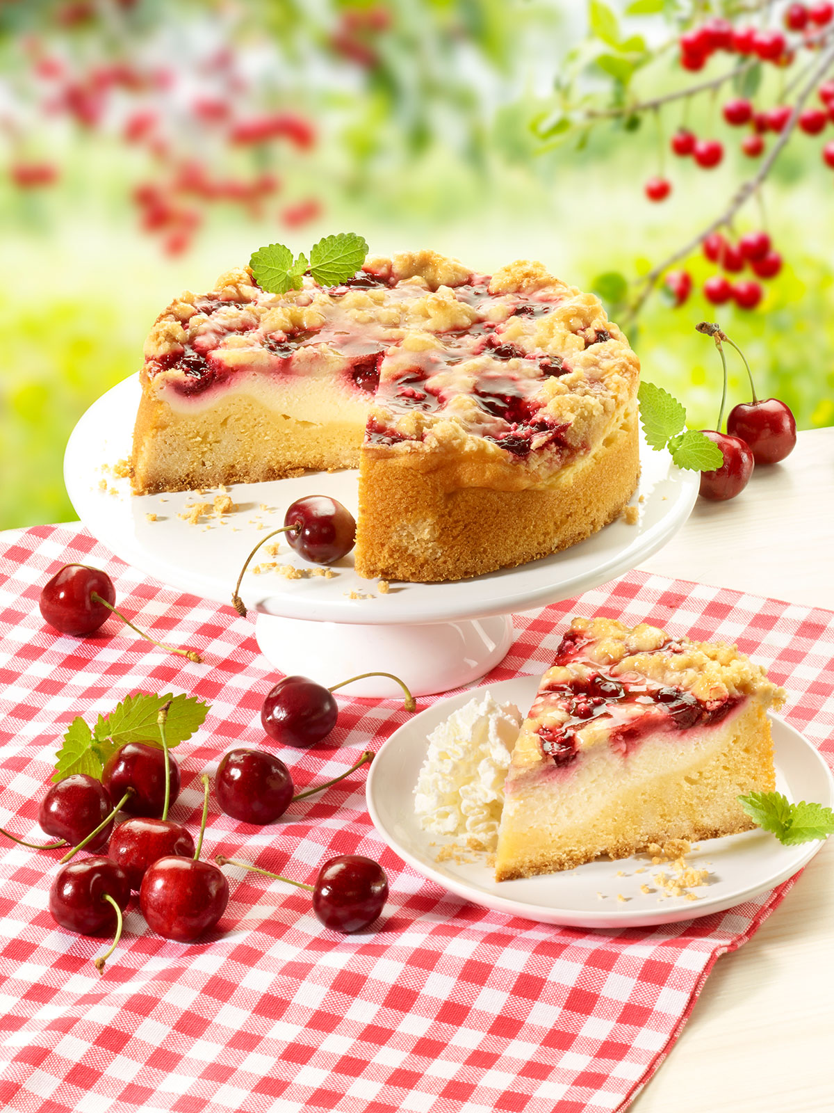 Frischer Landkuchen Käse-Kirsch  