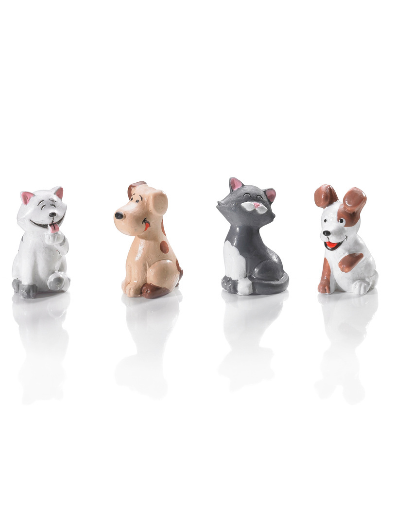 Spiel „Hund & Katz“