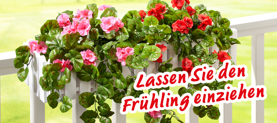 Weißer Balkonkasten mit roten und rosa Geranien vor grüner Frühlingskulisse