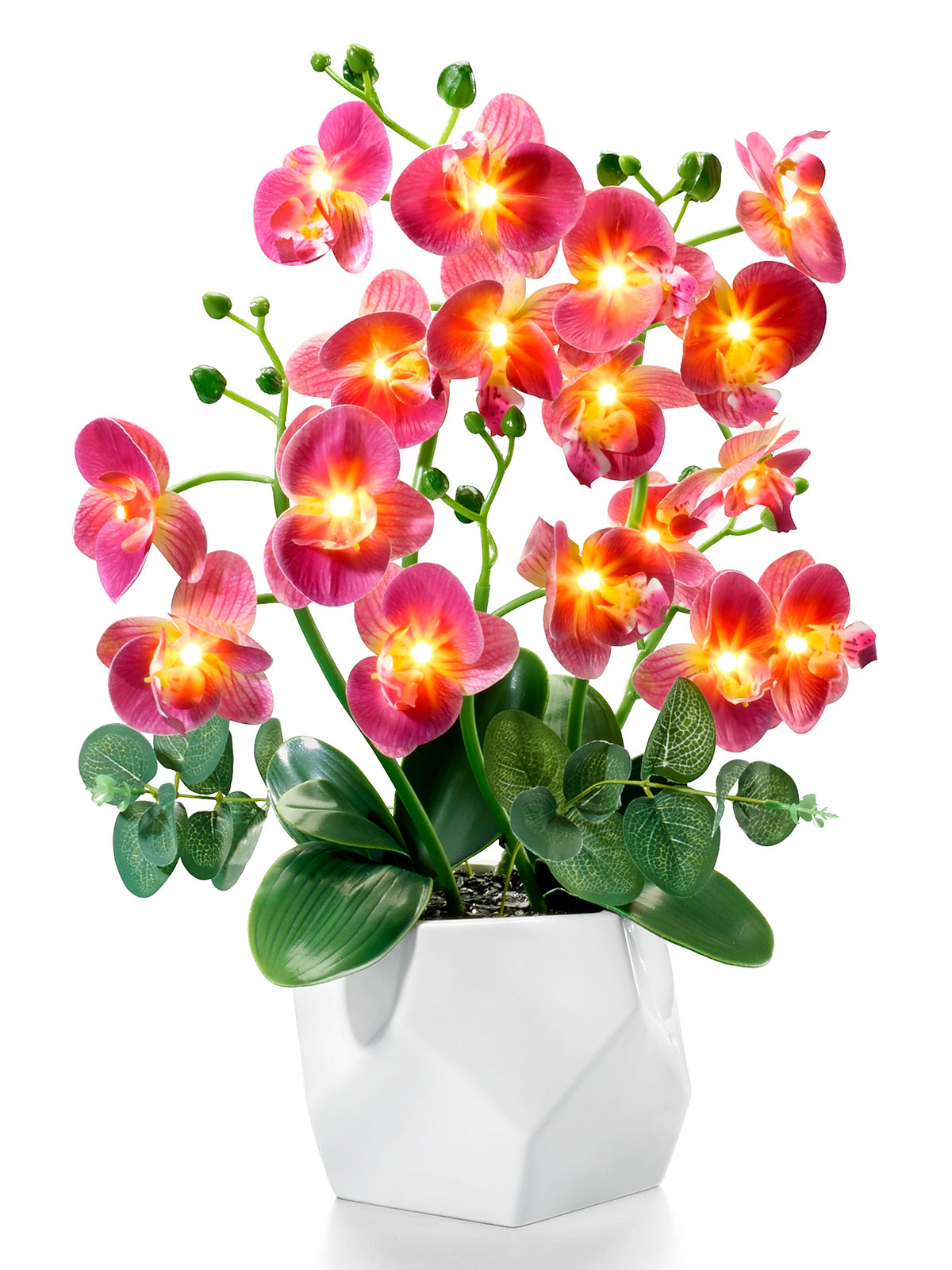 LED Orchideentraum „Rosé“