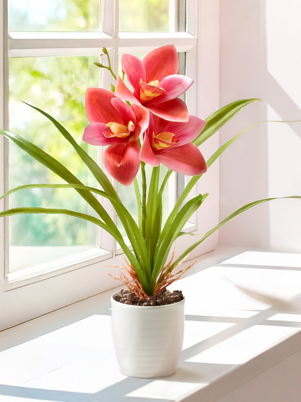Orchidee „Misaki“, rosa