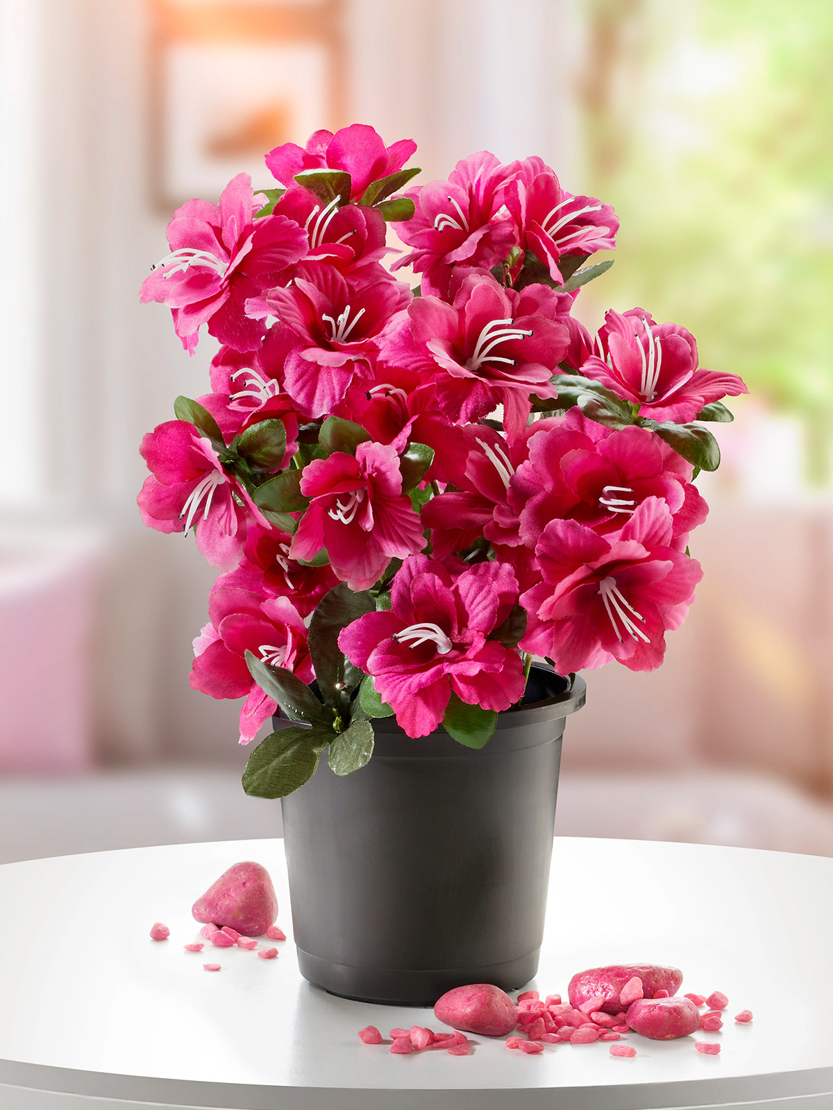 Azalee „Cordelia“, pink